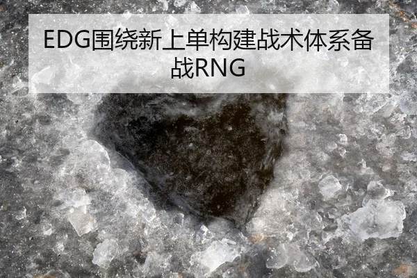 EDG围绕新上单构建战术体系备战RNG